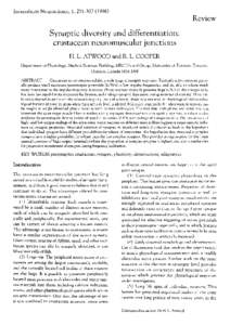 Invertebrate Neuroscience, 1,Review Synaptic diversity and differentiation: crustacean neuromuscular junctions H. L. ATWOOD and R. L. COOPER