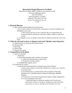 Bacterial & Fungal Diseases in Pet Birds Drury Reavill, DVM, ABVP, certified in Avian Practice, ACVP Zoo/Exotic Pathology Service