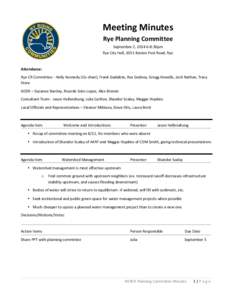 Microsoft Word - Rye Committee Meeting 5 Minutes (Summary[removed]doc