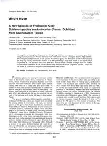 Redneck goby / Rhinogobius / Goby / Stiphodon / Fish anatomy / Schismatogobius fuligimentus / Schismatogobius insignus / Gobionellinae / Schismatogobius / Fish