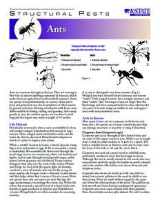 MF2887 Ants: Structural Pests