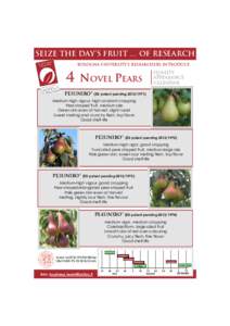 Seize the day’s Fruit … of research Bologna University’s researchers introduce 4  novel pears