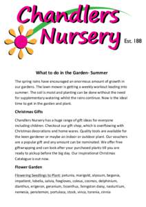   	
      What	
  to	
  do	
  in	
  the	
  Garden-­‐	
  Summer	
  