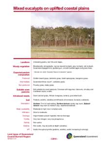 Microsoft Word - CB10_mixed eucalypts on coastal plains.doc