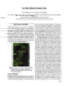 Lygodium / Schizaeales / Austromusotima camptozonale / Flora of India / Fern / Loxahatchee National Wildlife Refuge / T. microphyllum / Schizaeaceae / Everglades / Flora / Botany / Biota
