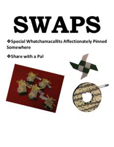 SWAPS Special Whatchamacallits Affectionately Pinned Somewhere Share with a Pal  What are SWAPS?