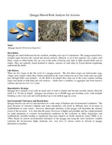 Quagga Mussel Risk Analysis for Arizona  Name Quagga mussel (Dreissena bugensis) Description Quaggas are small freshwater bivalve mollusk, reaching sizes up to 4 centimeters. The quagga mussel has a