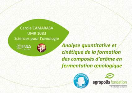 Carole CAMARASA UMR 1083 Sciences pour l’œnologie Analyse quantitative et cinétique de la formation