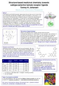 Structure-based medicinal chemistry towards subtype-selective kainate receptor ligands Tommy N. Johansen Medicinal Chemistry Research Why? The GluK2 and GluK3 kainate-type subunits are two out of more than