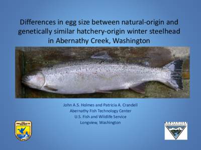 Differences in egg size between natural-origin and genetically similar hatchery-origin winter steelhead in Abernathy Creek, Washington