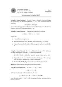 Universit¨at Stuttgart Fachbereich Mathematik Prof. Dr. W. Rump / J. Spreer Blatt 7 WS