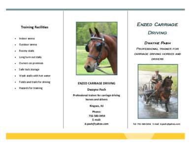 Zoology / Combined driving / Driving / Carriage / Horse / Horse driving / Equidae / Equus