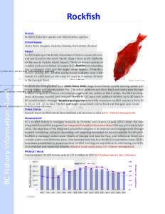 Quillback rockfish / Pacific ocean perch / Yelloweye rockfish / Fisheries management / Sebastes miniatus / Pacific North Coast Integrated Management Area / Sebastidae / Fish / Sebastes