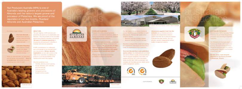 Nut Producers Australia (NPA) is one of Australia’s leading growers and processors of Almonds and the nation’s largest grower and processor of Pistachios. We are proud of the reputation of our two brands, Riverland A