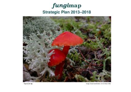 Fungus / Ecology / Flora of Australia / Biodiversity / Mycology / Science / Tom May / Biology / Fungi / Microfungi