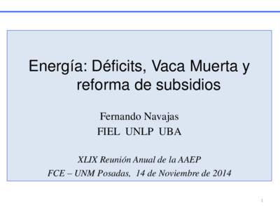 Energía: Déficits, Vaca Muerta y reforma de subsidios Fernando Navajas FIEL UNLP UBA XLIX Reunión Anual de la AAEP FCE – UNM Posadas, 14 de Noviembre de 2014