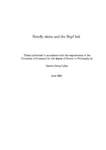 Hom
y skeins and the Hopf link  Thesis submitted in a

ordan
e with the requirements of the University of Liverpool for the degree of Do
tor in Philosophy by Sas
ha Georg Luka
 June 2001