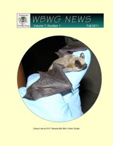 Speleology / White nose syndrome / Bat / Little brown bat / Cave Myotis / Northern long-eared myotis / Indiana bat / Gray Bat / Mouse-eared bats / Night / Biology