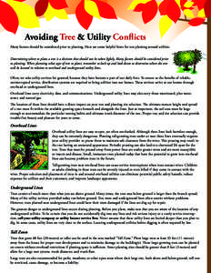 Avoiding Tree & Utility Conflicts Many factors should be considered prior to planting. Here are some helpful hints for tree planting around utilities. Determining where to plant a tree is a decision that should not be ta