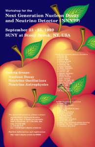 Workshop for the  Next Generation Nucleon Decay and Neutrino Detector (NNN 99) September, 1999 SUNY at Stony Brook, NY, USA