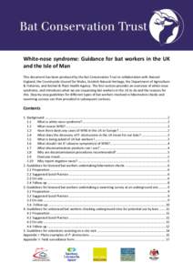 White-nose syndrome: Guidance for bat workers in the UK and the Isle of Man This document has been produced by the Bat Conservation Trust in collaboration with Natural England, the Countryside Council for Wales, Scottish