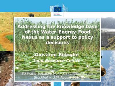 Addressing the knowledge base of the Water-Energy-Food Nexus as a support to policy decisions Giovanni Bidoglio Joint Research Centre