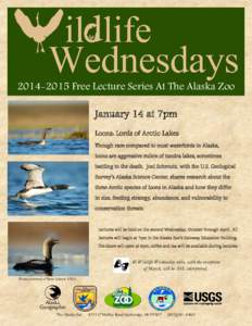 [removed]Free Lecture Series At The Alaska Zoo January 14 at 7pm Loons: Lords of Arctic Lakes Though rare compared to most waterbirds in Alaska, loons are aggressive rulers of tundra lakes, sometimes battling to the dea