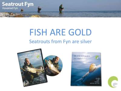 FISH ARE GOLD Seatrouts from Fyn are silver The World General facts about DKkm2