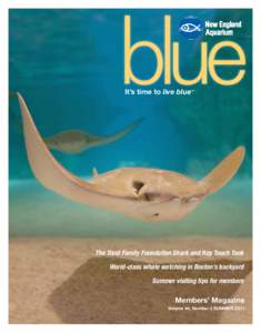 It’s time to live blue™  The Trust Family Foundation Shark and Ray Touch Tank World-class whale watching in Boston’s backyard Summer visiting tips for members