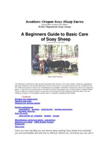 American RBST Foundation Flock USA0001  British Registered Soay sheep A Beginners Guide to Basic Care of Soay Sheep