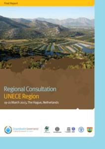 Final Report  Regional Consultation UNECE RegionMarch 2013, The Hague, Netherlands