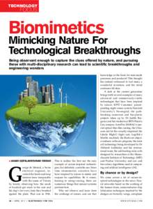 Technology  focus Biomimetics