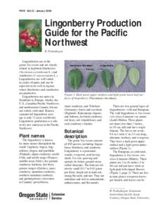 Lingonberry Production Guide for the Pacific Northwest
