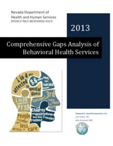 Nevada Department of Health and Human Services DIVISION OF PUBLIC AND BEHAVIORAL HEALTH 2013