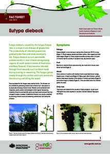 FACTSHEET July 2013 Eutypa dieback Eutypa dieback, caused by the fungus Eutypa lata, is a major trunk disease of grapevines.