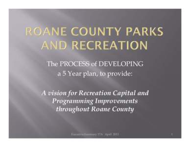 The PROCESS of DEVELOPING a 5 Year plan, to provide: A vision for Recreation Capital and Programming Improvements throughout Roane County