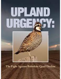 RUSSELL GRAVES  UPLAND URGENCY:  The Fight Against Bobwhite Quail Decline