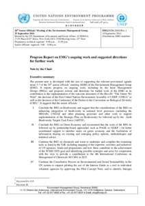 20th Senior Officials’ Meeting of the Environment Management Group 25 September 2014 Hosted by the UN Department of Economic and Social Affairs (UNDESA) 2 UN Plaza E44th Street, New York, DC2-2330 Meeting room, 23rd fl