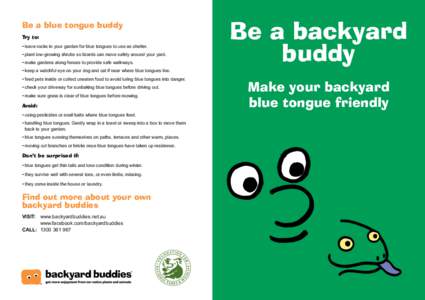 Be a blue tongue buddy Try to: • leave rocks in your garden for blue tongues to use as shelter. • plant low-growing shrubs so lizards can move safely around your yard. • make gardens along fences to provide safe wa