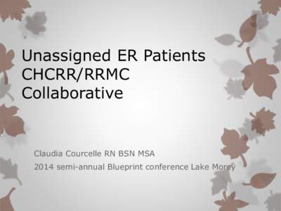 Unassigned ER Patients CHCRR/RRMC Collaborative Claudia Courcelle RN BSN MSA 2014 semi-annual Blueprint conference Lake Morey