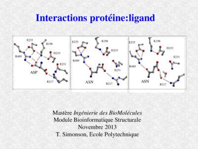 Interactions protéine:ligand E235 K198  E235