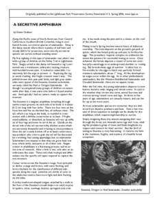 Originally published in the Lighthouse Park Preservation Society Newsletter # 5, Spring 2006, www.lpps.ca  A SECRETIVE AMPHIBIAN by Elaine Graham Along the Pacific coast of North American, from Central California to Sout