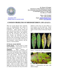 Water moulds / Rhododendron / Physiological plant disorders / Azalea / Phytophthora / Plant pathology / Root rot / Chlorosis / Rhododendron arboreum / Flora of the United States / Biology / Botany