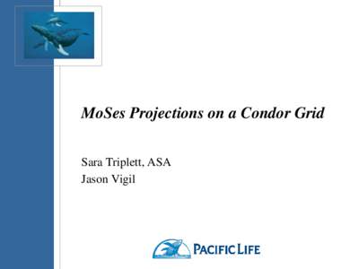 MoSes Projections on a Condor Grid Sara Triplett, ASA Jason Vigil Overview  MoSes modeling environment