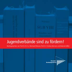 Jugendverbände sind zu fördern! Rechtsgutachten von Prof. Dr. Dr. h.c. Reinhard Wiesner, Prof. Dr. Christian Bernzen und Melanie Kößler IMPRESSUM Deutscher Bundesjugendring Mühlendamm 3, 10178 Berlin