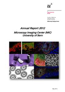 Microsoft Word - MIC Annual Report 2012v4_st_be_vh_mhs_condensed.docx