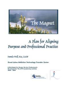 Microsoft Word - The Magnet Workbook.doc