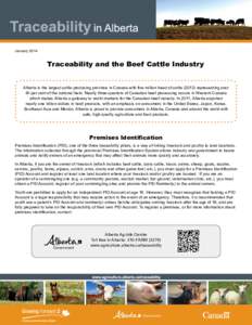January 	 2014 Traceability and the Beef Cattle Industry Alberta is the largest cattle-producing province in Canada with five million head of cattle[removed]representing over