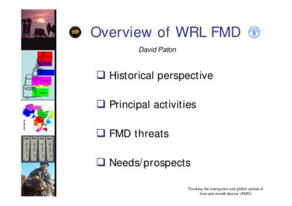 Overview of WRL FMD David Paton  Historical perspective  Principal activities  FMD threats