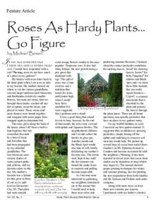 Feature Article  Roses As Hardy Plants... Go Figure by Michael Bowell